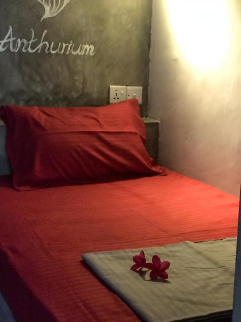 Pranaya Hiriketiya Pansiyon Dikwella Dış mekan fotoğraf